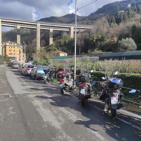 Camera Privata Nell'Appartamento In Zona Residenziale Con 2 Piscine Rapallo Bagian luar foto